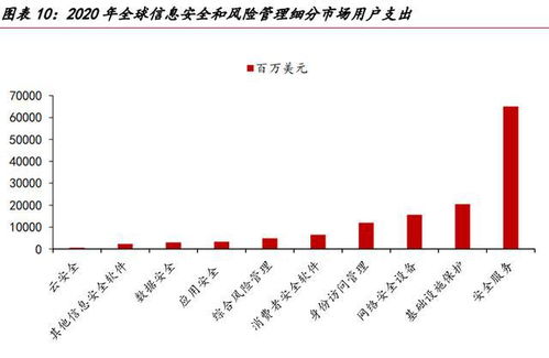 網(wǎng)絡(luò)安全的未來(lái)看服務(wù) 網(wǎng)絡(luò)與信息安全軟件開發(fā)的演進(jìn)之路